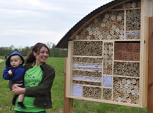 beehotel600
